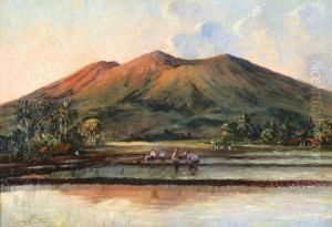 Landscape On Javawith Rice Fields And A Volcano In The Background