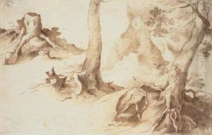 Recto And Verso: Studies Of Tree Trunks And Tree Stumps by Paulus Van Vianen
