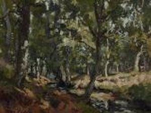 Stream In A Forest Stream In A Forest