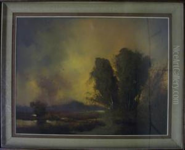 Veenlandschap - view 1