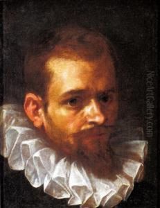 Ritratto Di Un Nobile by Jeremias van Winghen or Wingen