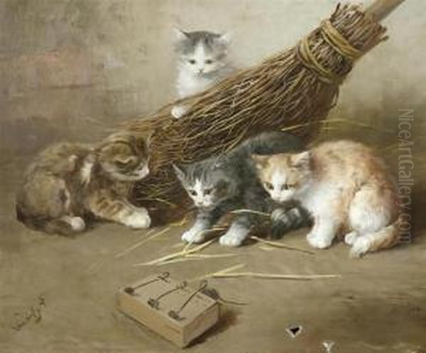 Cats - view 1