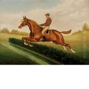 Bourke Cochran With Jockey Up Taking A Hedge At Saratoga