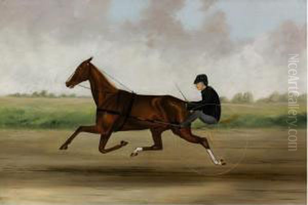 A Brisk Ride - view 1