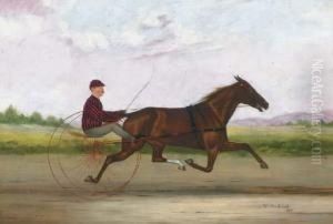 Henry J. Stewart And Lady Hill, Greenwich, New York by William Van Zandt