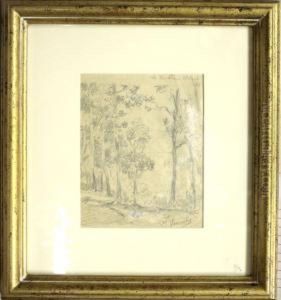 Paisaje Paisaje