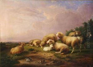 Sheep In A Rural Landscape by Francois Vandeverdonck
