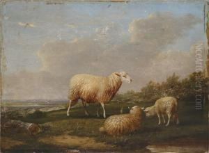 Sheep Scene by Francois Vandeverdonck