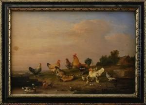 Rooster, Hens, Ducks And A Pigeon