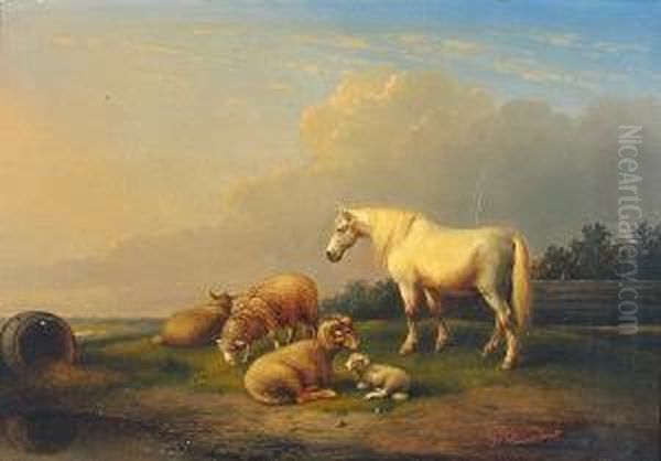 A Horse And Sheep In An Open Landscape - view 1