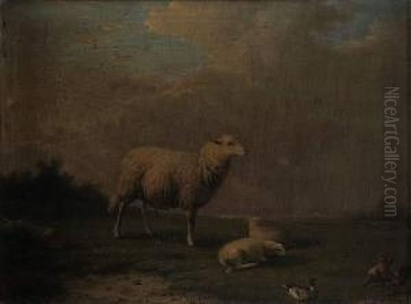 Le Mouton - view 1