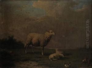 Le Mouton by Francis Vandeverdouch