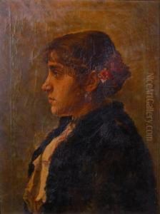 Ritratto Della Contessa Testasecca