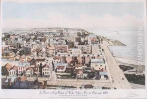 A Bird's-eye View Of Lake Shore Drive A Bird's-eye View Of Lake Shore Drive
