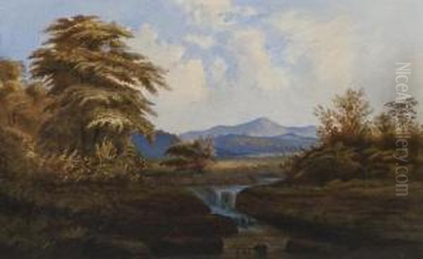 Wooded Landscape With Distant Mountains - view 1