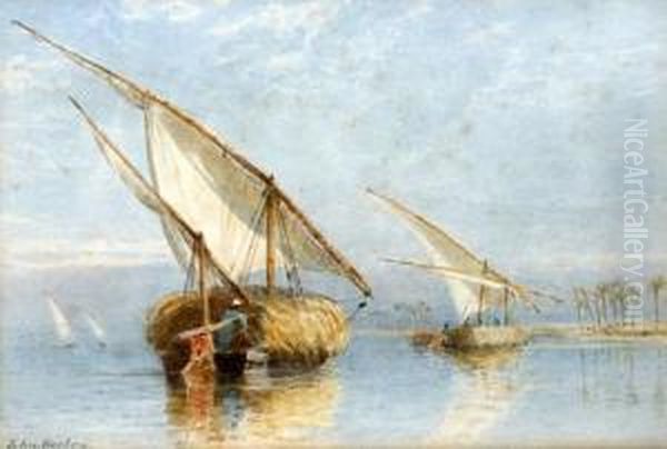 On The Nile - view 1