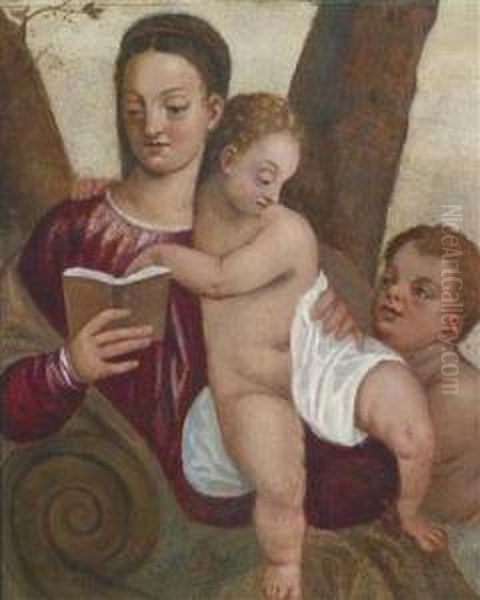 The Virgin And Child With The Infantbaptist / La Madonna Con Bambino E San Giovannino - view 1