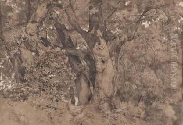 Waldstudie" - view 1