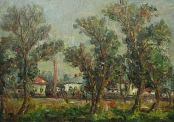Copaci Si Case - view 1