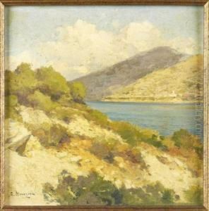 Sunlit Coastline