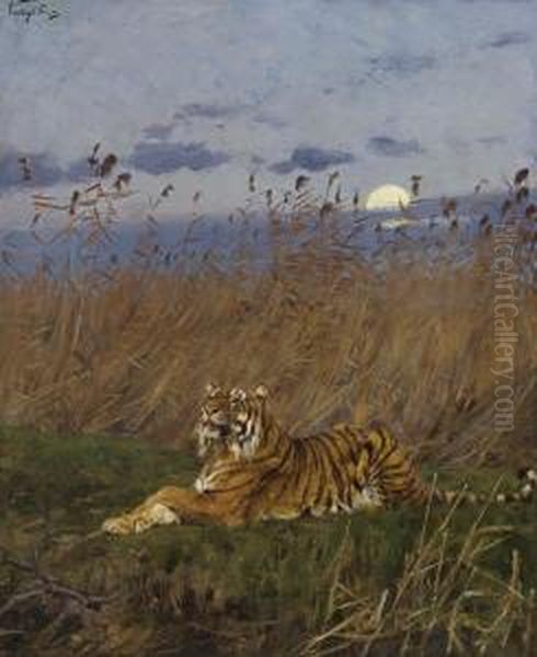 A Tiger Among Rushes In The Moonlight - view 1