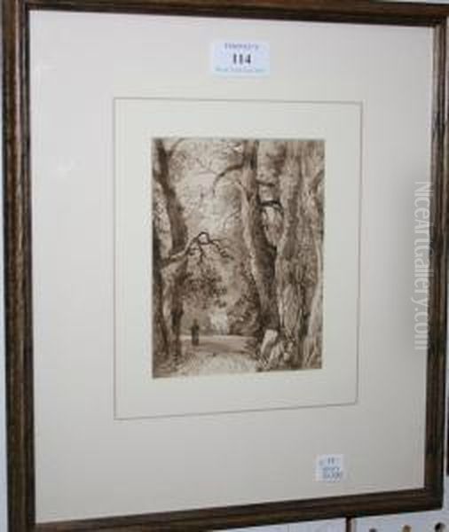 View Of A Woodland Path With A Figurewalking - view 1