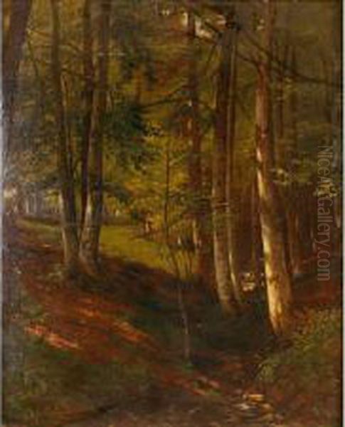 Bosque En Otono - view 1