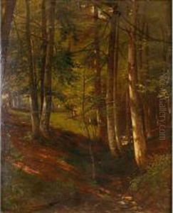 Bosque En Otono