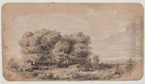 Paisaje Paisaje