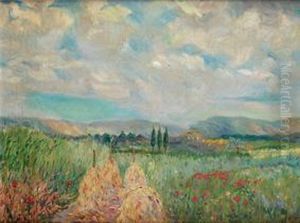Paisaje Paisaje