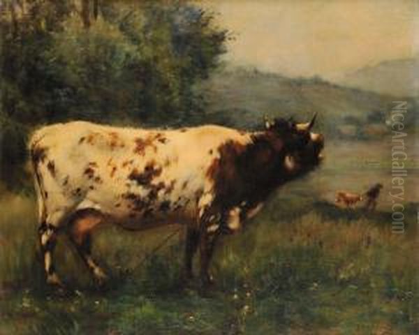 Toro - view 1