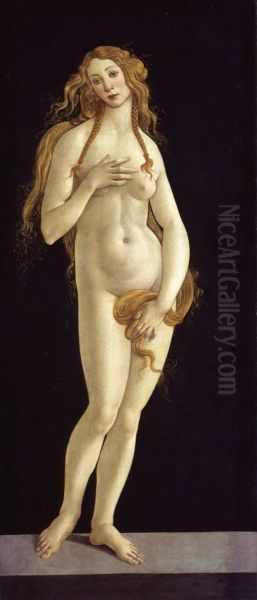Venus - view 1