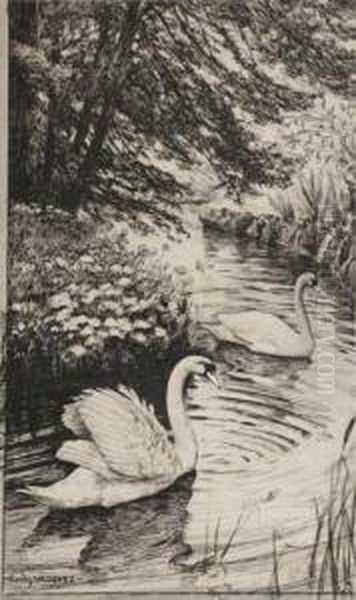 Lago Con Cisnes - view 1
