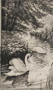 Lago Con Cisnes by Carlos Vazquez Ubeda