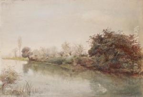 Orilla De Un Rio - view 1
