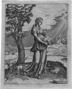 Die Cumaische Sybille by Agostino dei Musi