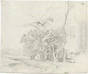 Kleines Waldstuck by Albert Franz Venus