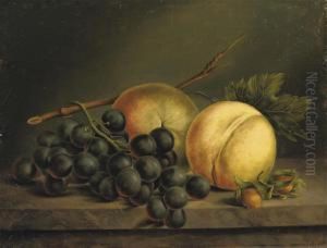 Peaches And Grapes On A Marble Ledge by Willem Verbeet