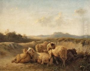 Weite Landschaft Mit Kleiner Schafherde