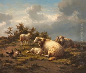 Landschaft Mit Schafen Und Huhnern