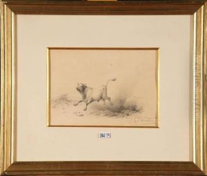 Jeune Taureau