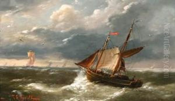 Marine - view 1