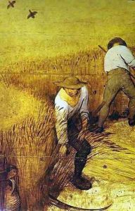 The Corn Harvest (August)