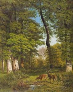 Asendes Damwildpaar Auf Einer Waldlichtung.