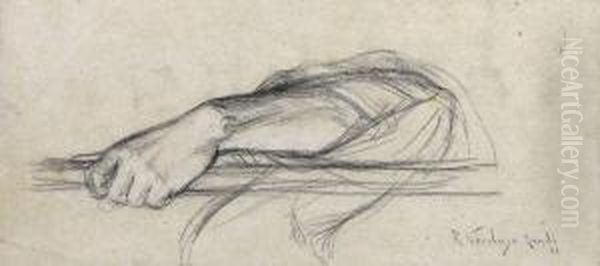 "estudio Anatomico" - view 1