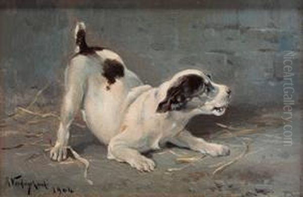 Perrito - view 1