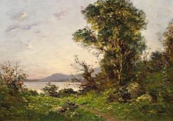 View Of A Bank Of Lac Leman - view 1