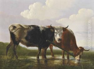 Cows At The Watering Hole by Albertus Verhoesen