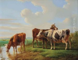 Cows Drinking Water And Resting In A Meadow by Albertus Verhoesen