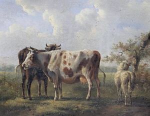 Cattle In A Field by Albertus Verhoesen